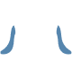Root Canals